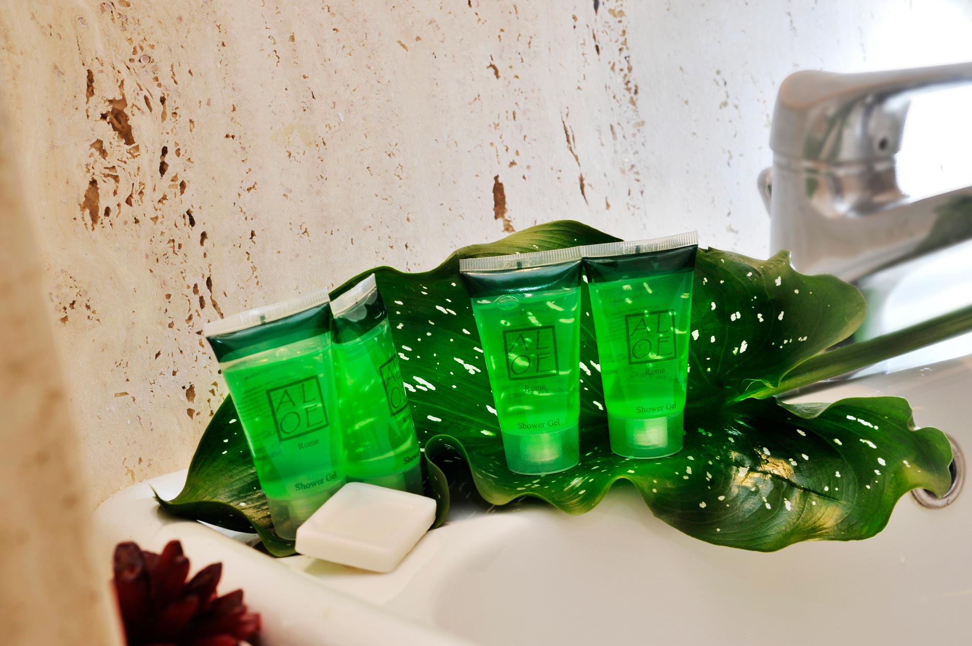 Scott House Hotel Rome