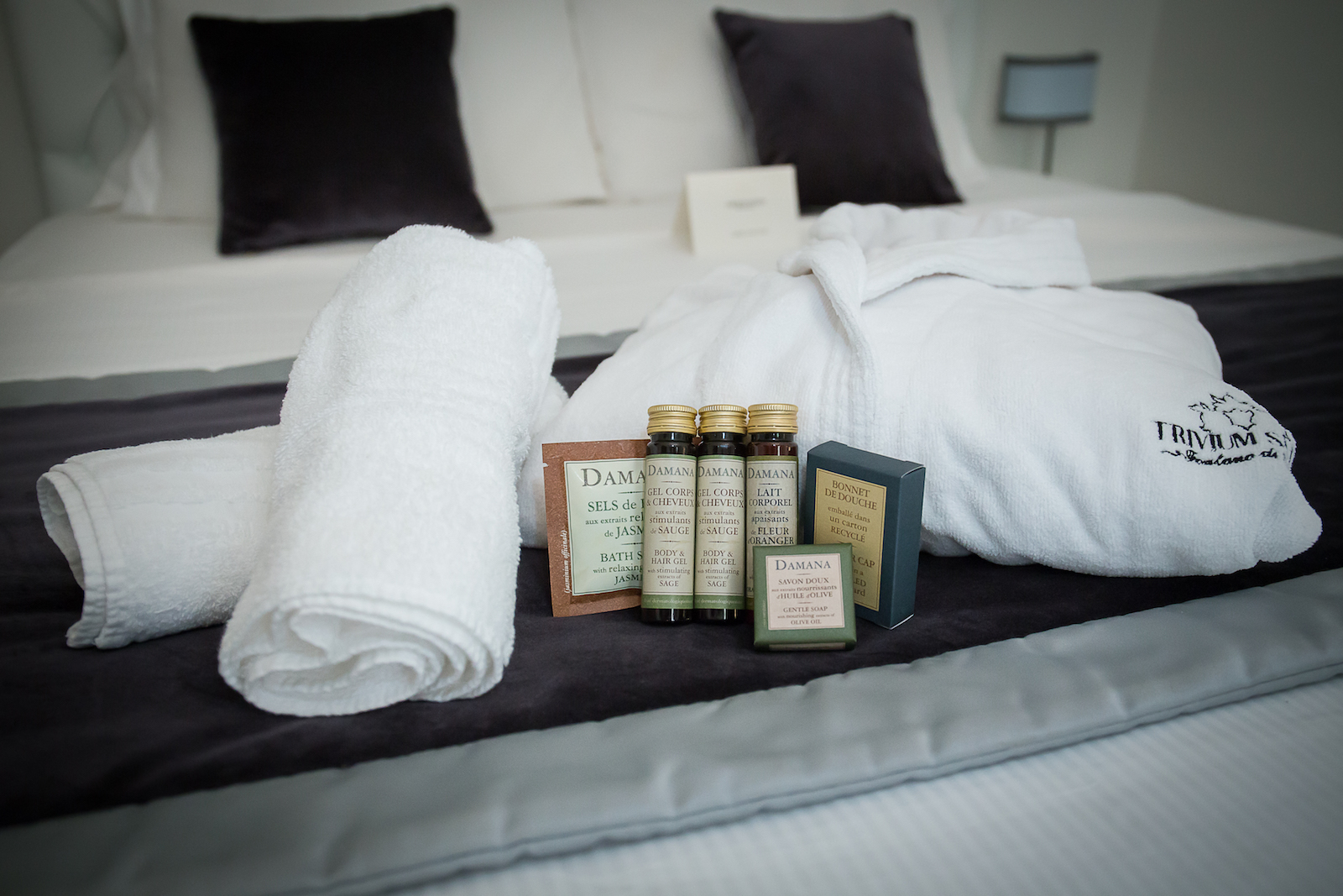 Trivium SuitesTrevi Fountain